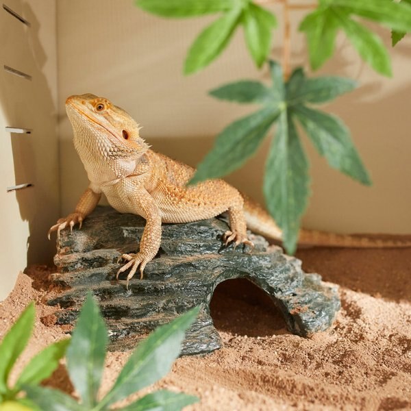 Zilla Basking Platform Corner Reptile Ramp