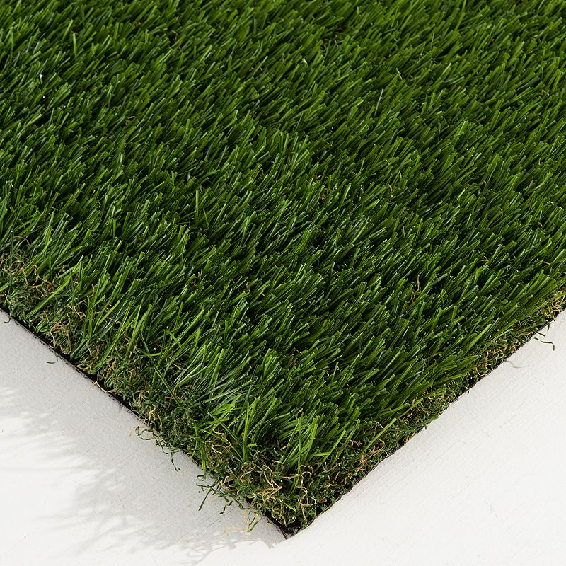 Loomaknoti Top Of The Line Artificial Grass Rug