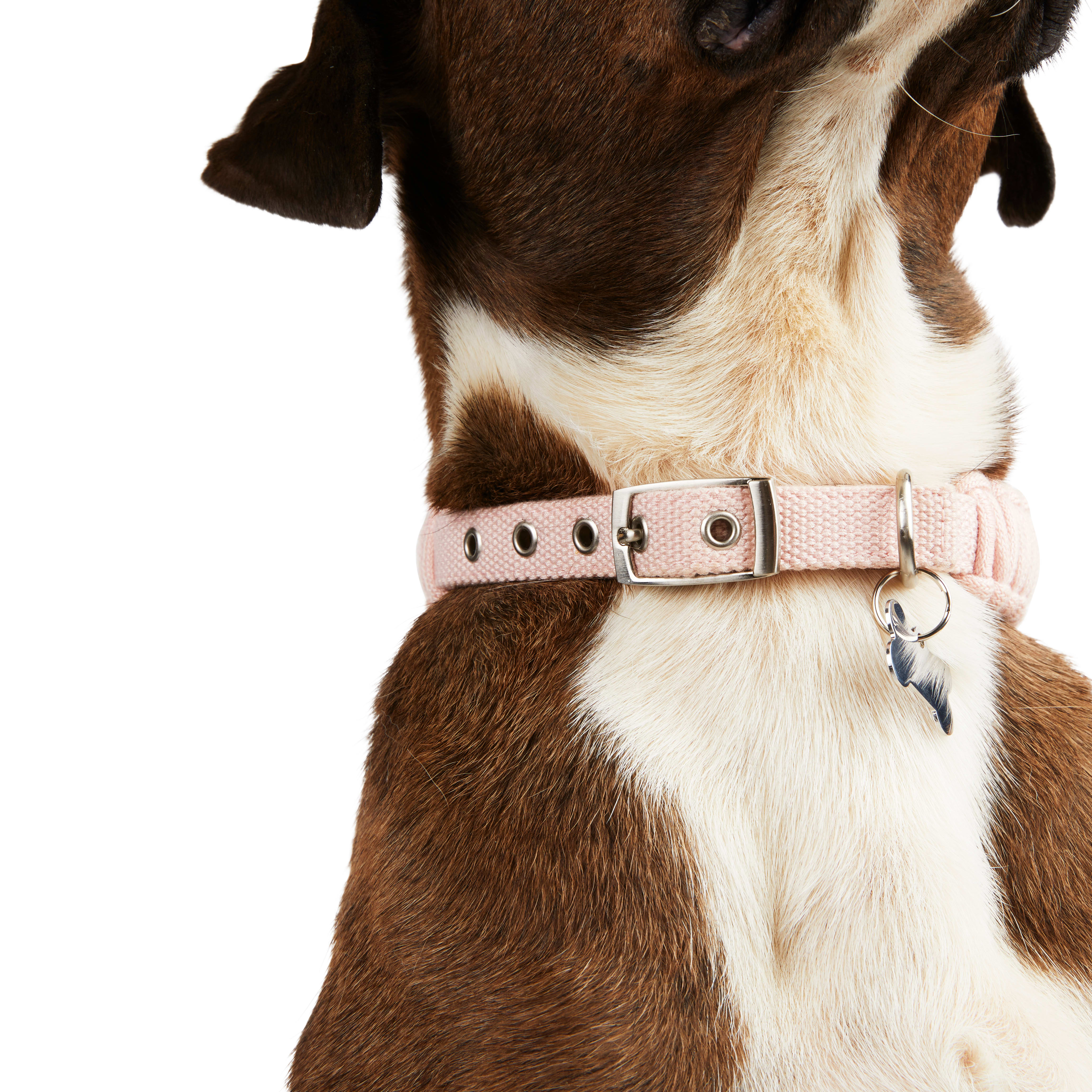 YOULY The Bohemian Pink Macrame Dog Collar， Small