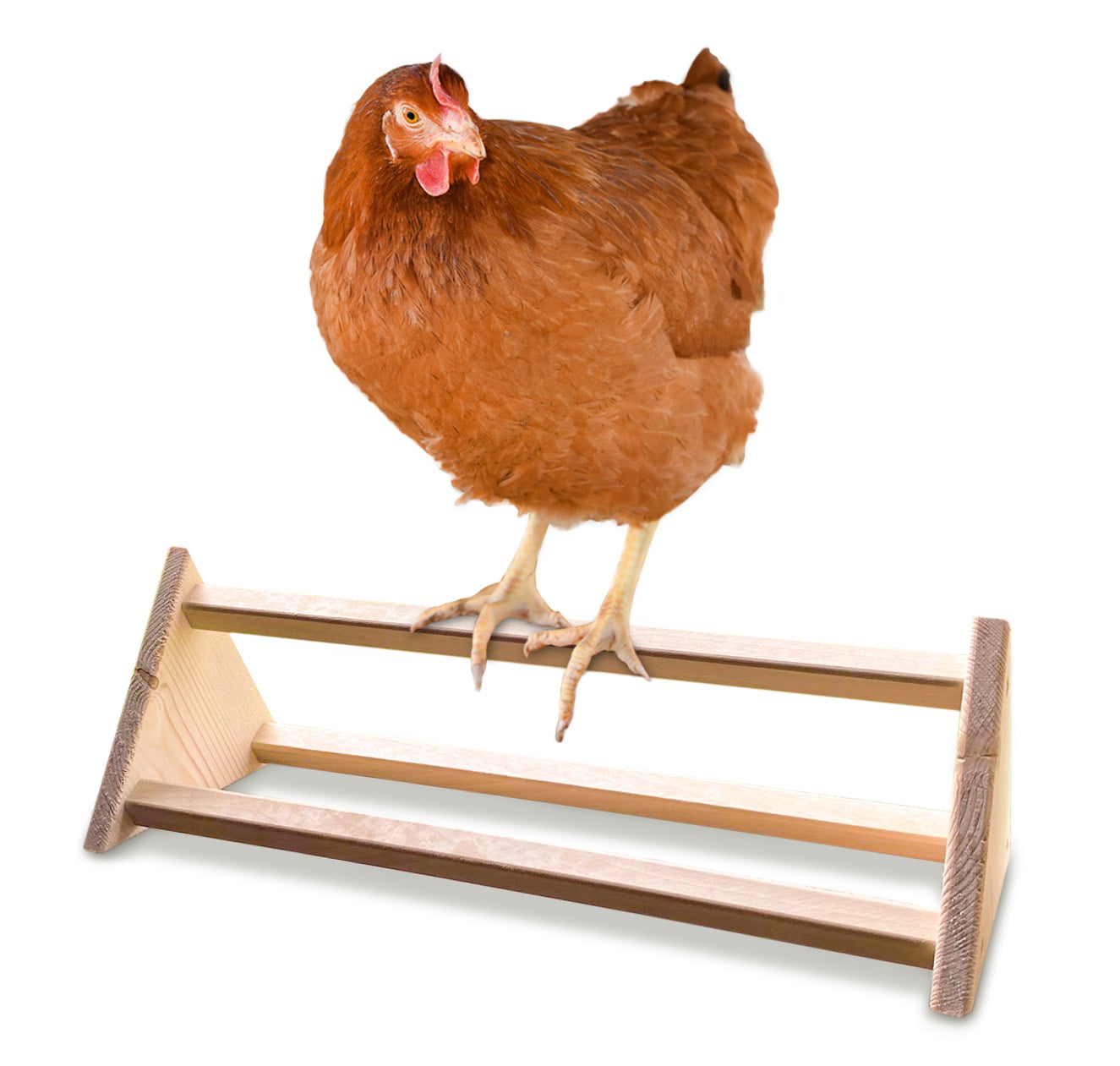 Chicken Perch Strong Wooden Roosting Bar Made in USA Solid Accessories and Toys for Coop and Brooder for Large Bird Baby Chicks Pollos Gallinas Polluelos Parrots by Backyard Barnyard