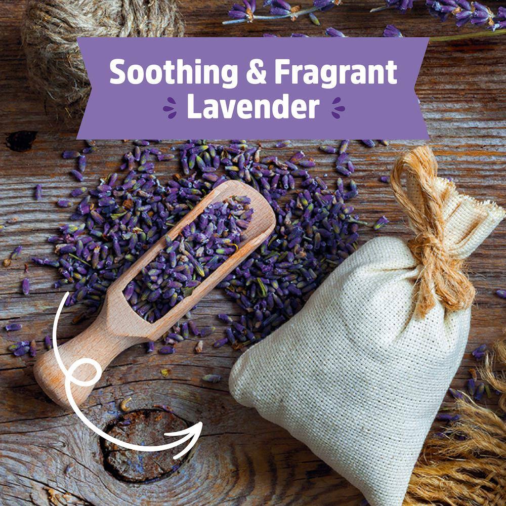 Back to the Roots Organic Lavender Grow Kit 25500