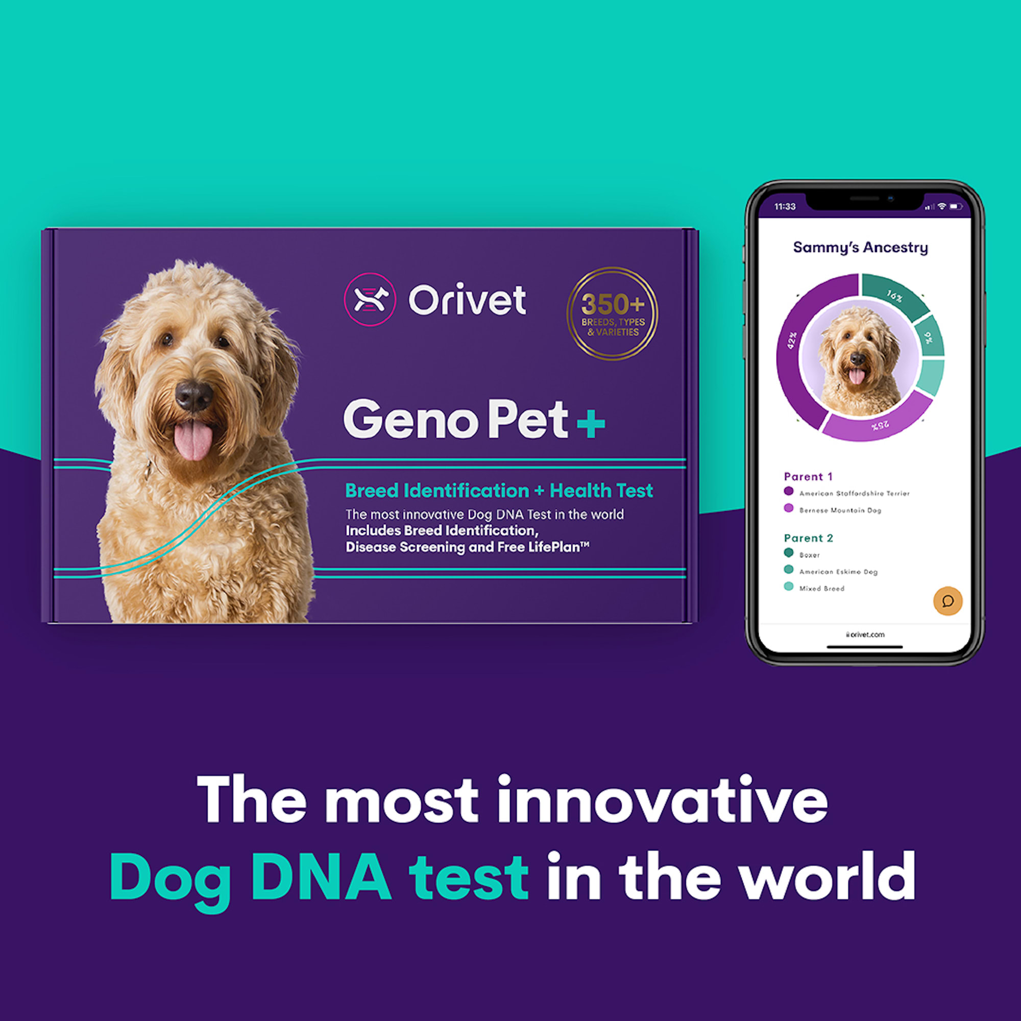 Orivet Geno Pet Plus 5.0 Dog DNA Breed Identification  Health Test