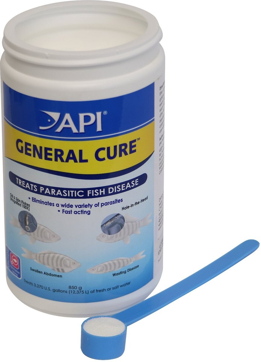 API General Cure Freshwater and Saltwater Aquarium Parasitic Fish Disease Treatment