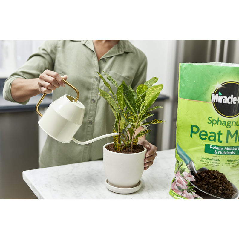 SPHAGNUM PEAT MOSS 8QT