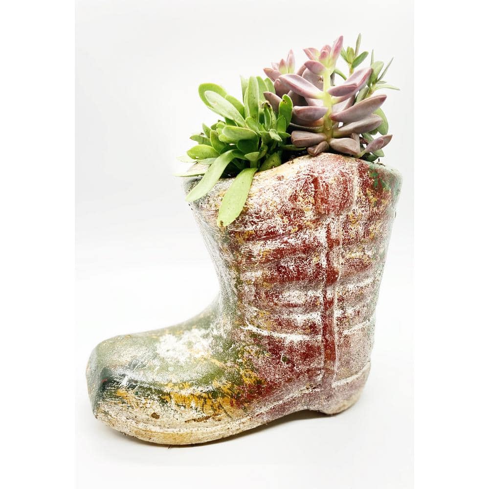 6 in. Succulent Boot Planter 21906