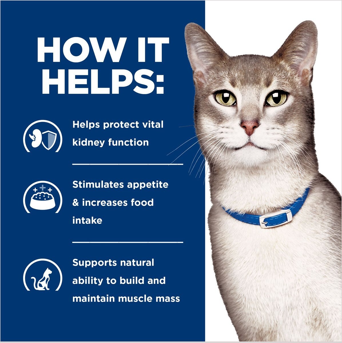 Hill's Prescription Diet k/d Kidney Care with Ocean Fish Dry Cat Food