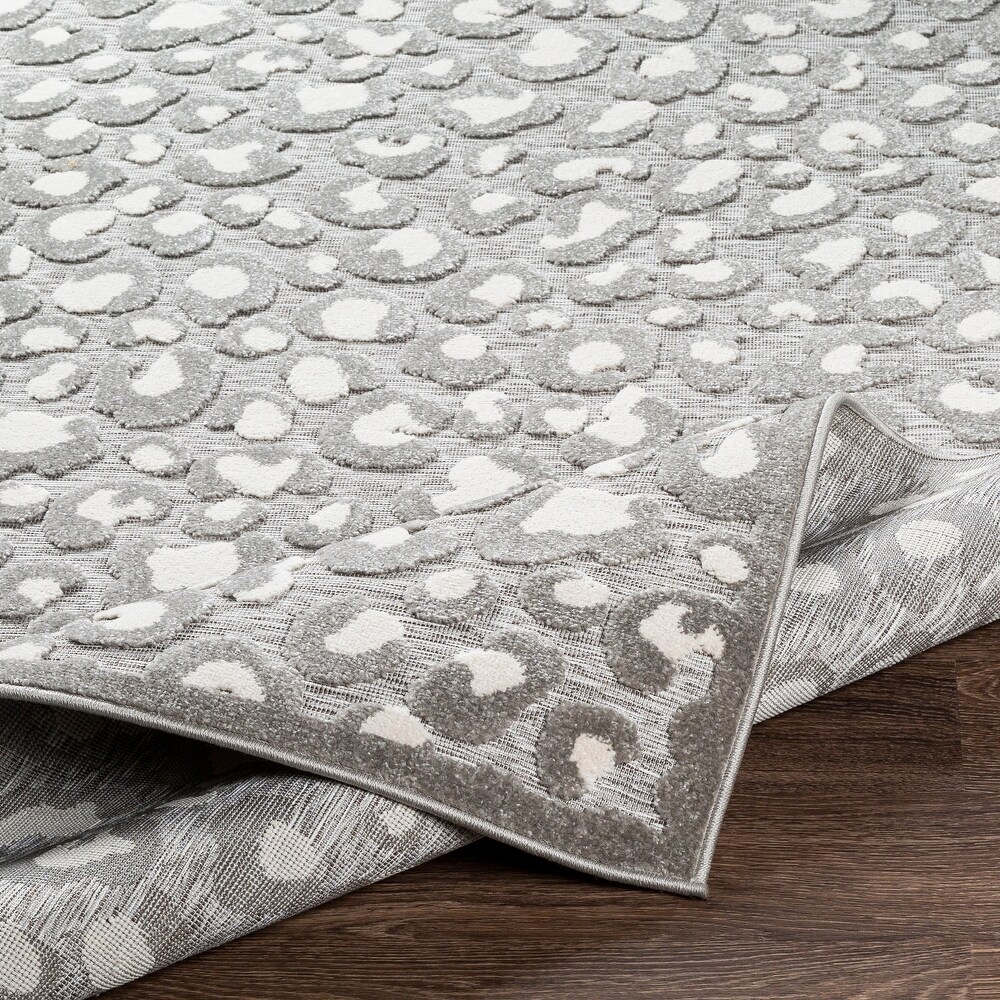 Artistic Weavers Benni Indoor/ Outdoor Leopard Print Area Rug