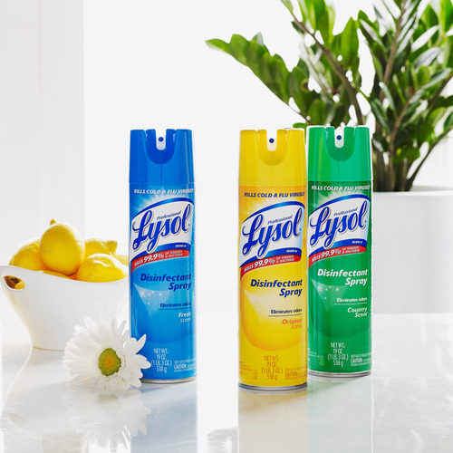 Reckitt Benckiser Professional Lysol Fresh Disinfectant Spray  RAC04675