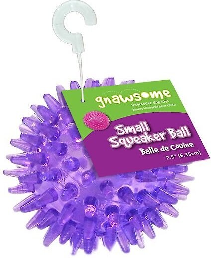 Gnawsome Squeaker Ball Dog Toy， Color Varies