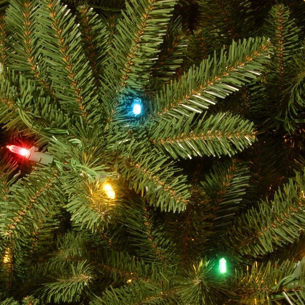 National Tree Company 6.5 ft. Natural Fraser Slim Fir Tree with Multicolor Lights