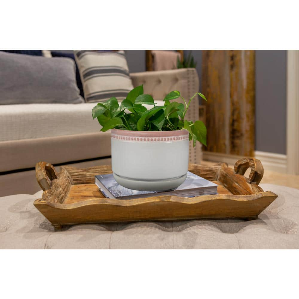 Trendspot 6 in. Ada White Ceramic Planter ECR00724S-060W2