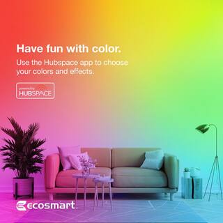 EcoSmart 60-Watt Equivalent Smart A19 Color Changing CEC LED Light Bulb with Voice Control (1-Bulb) Powered by Hubspace 11A19060WRGBWH1