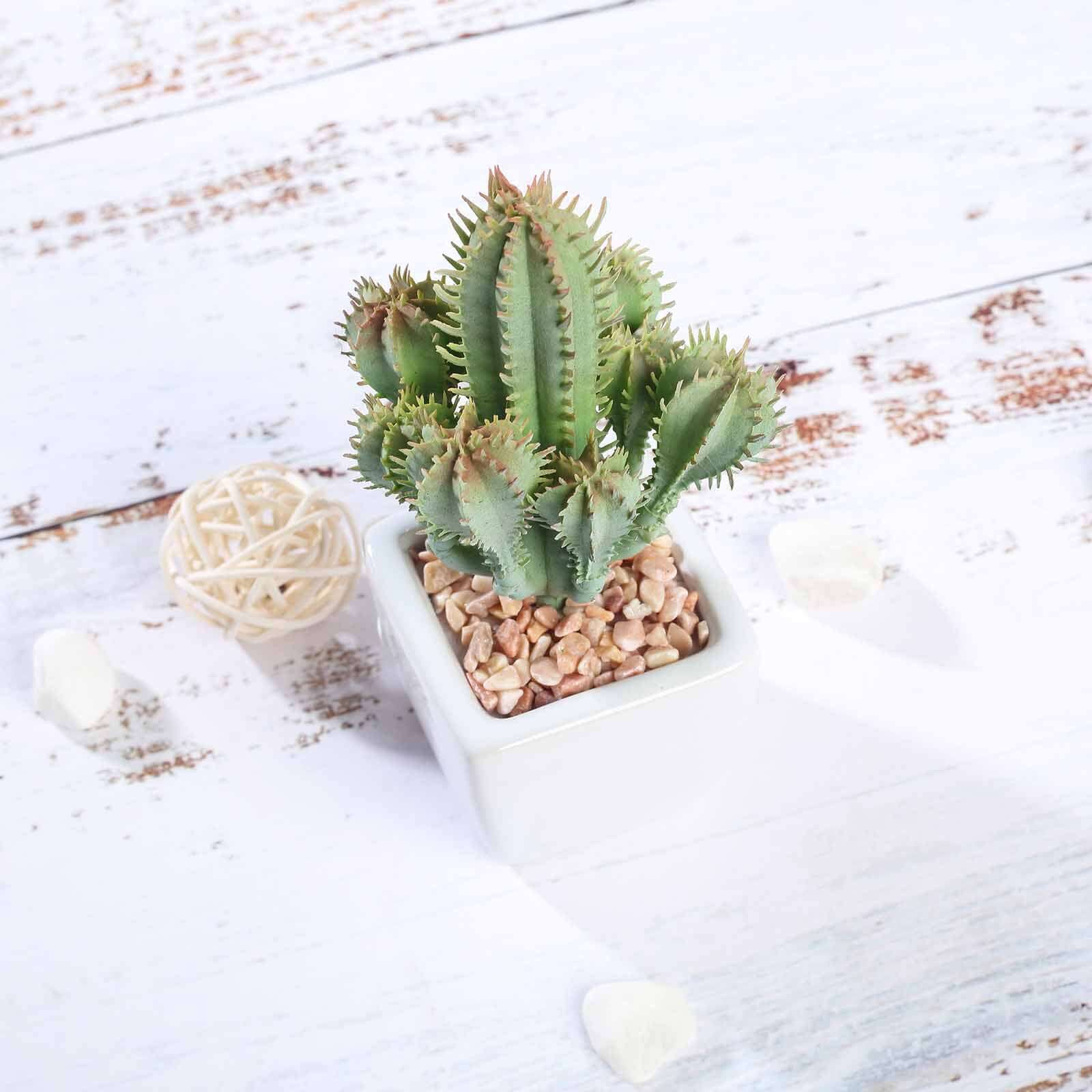 3 Pack Ceramic Planter Pot and Artificial Cacti Succulent Plants 5