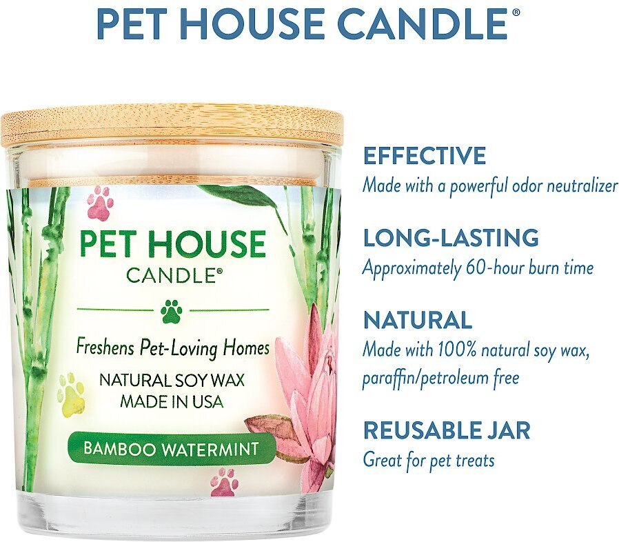 Pet House Bamboo Watermint Natural Soy Candle