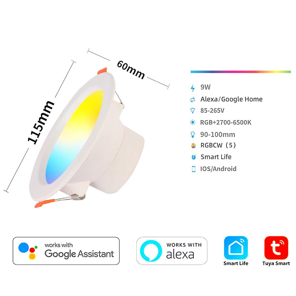 Rgb Downlight