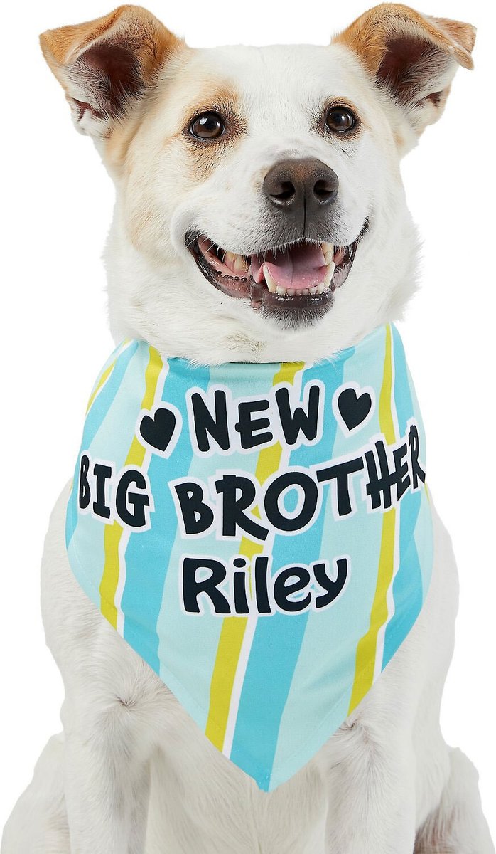 Frisco Big Brother Personalized Dog and Cat Bandana