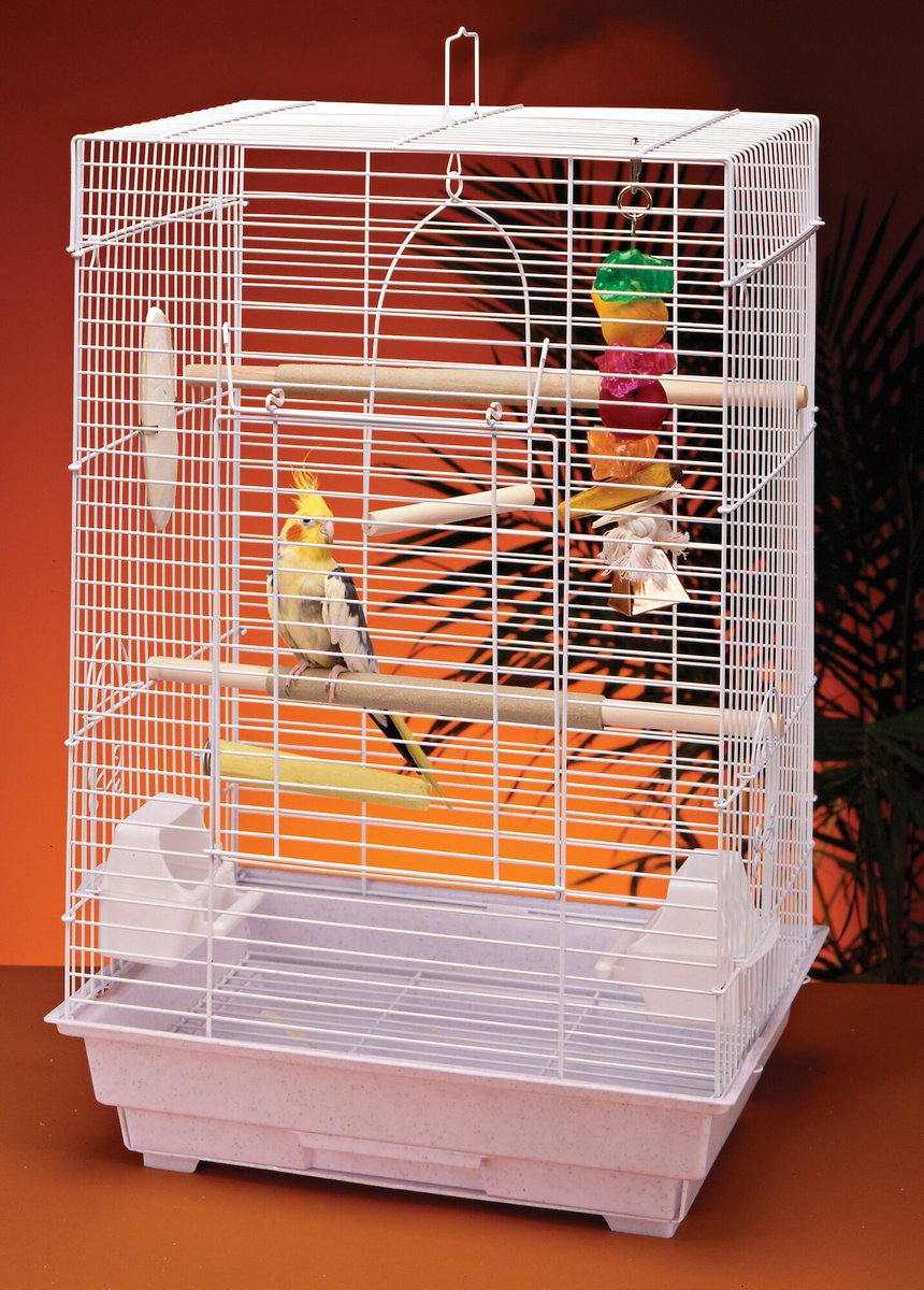 Penn-Plax Medium Bird Kit Square Bird Cage， White