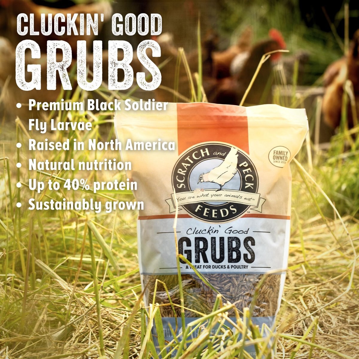 Scratch and Peck Feeds Cluckin' Good Grubs Poultry Treats