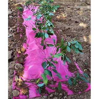 Agfabric 4 ft. x 250 ft. Size 1.2 Mil Pink Mulch Garden Plastic Film PM1204250N1R