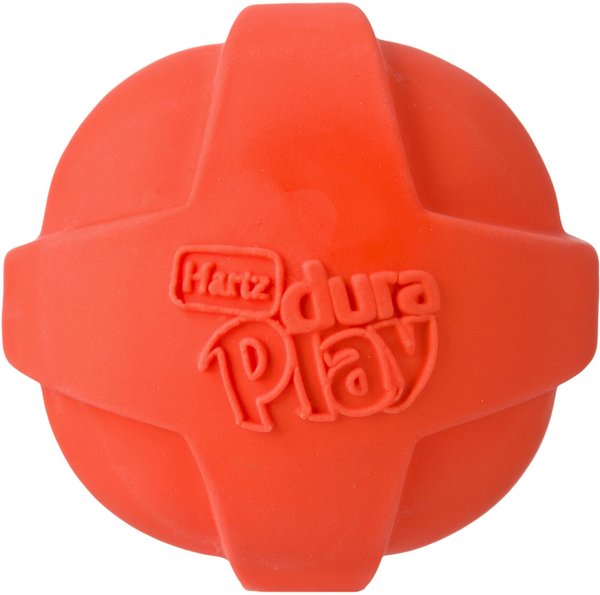 Hartz Dura Play Ball Squeaky Latex Dog Toy， Color Varies