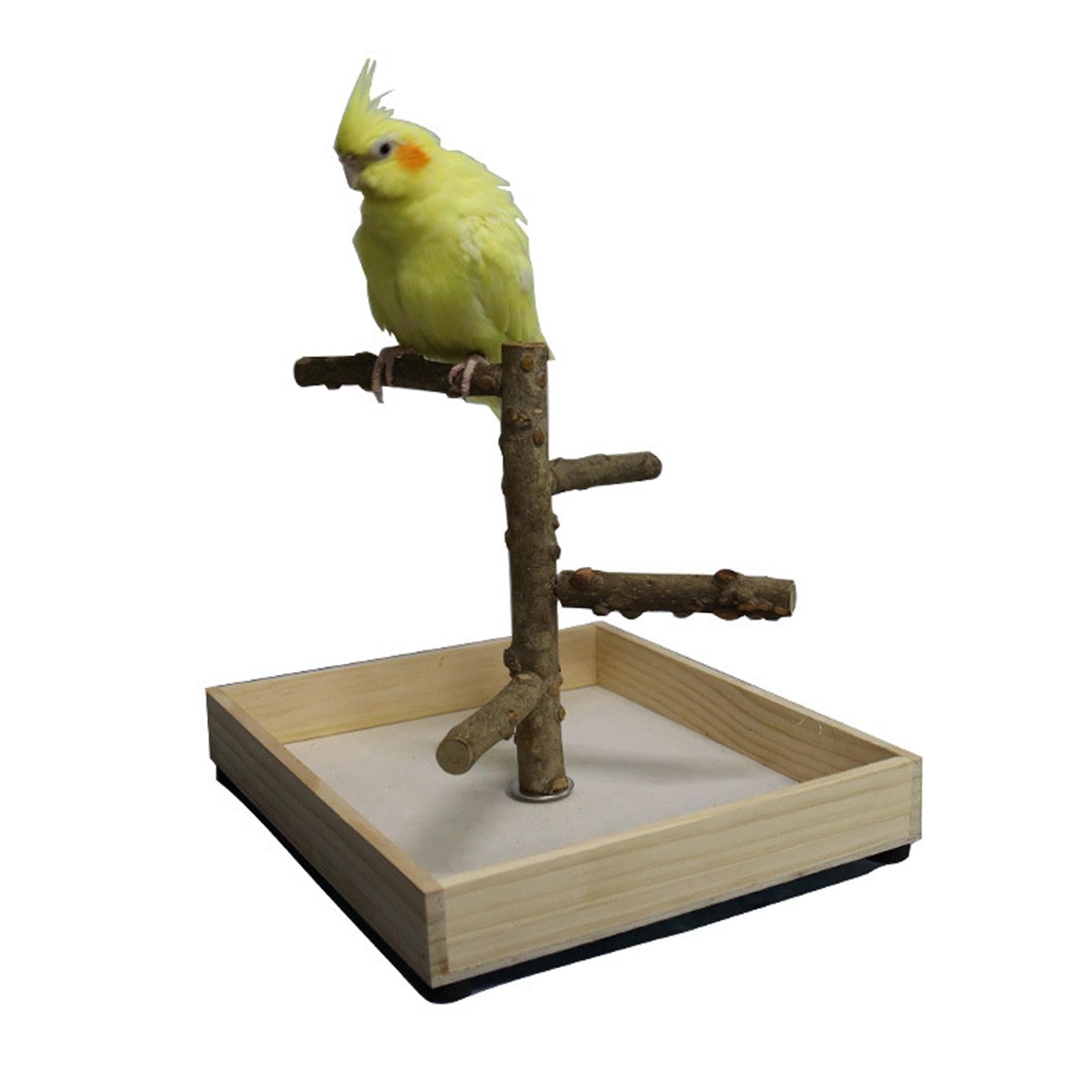 Parakeet Perch， Bird Natural Wood Stand， Parrot Wooden Branches for Standing， Toys for Small Medium Parrots Budgie - 36x36x25cm