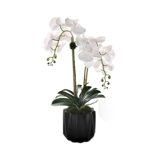 Real Touch Phalaenopsis Orchids in Black Dimensional Pot