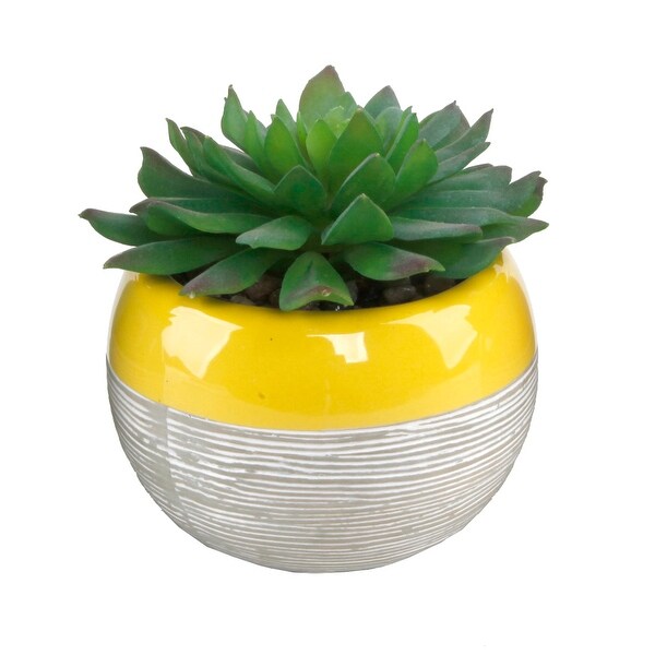 Succulent in Two tone lines pattern ceramic pot ，Teal