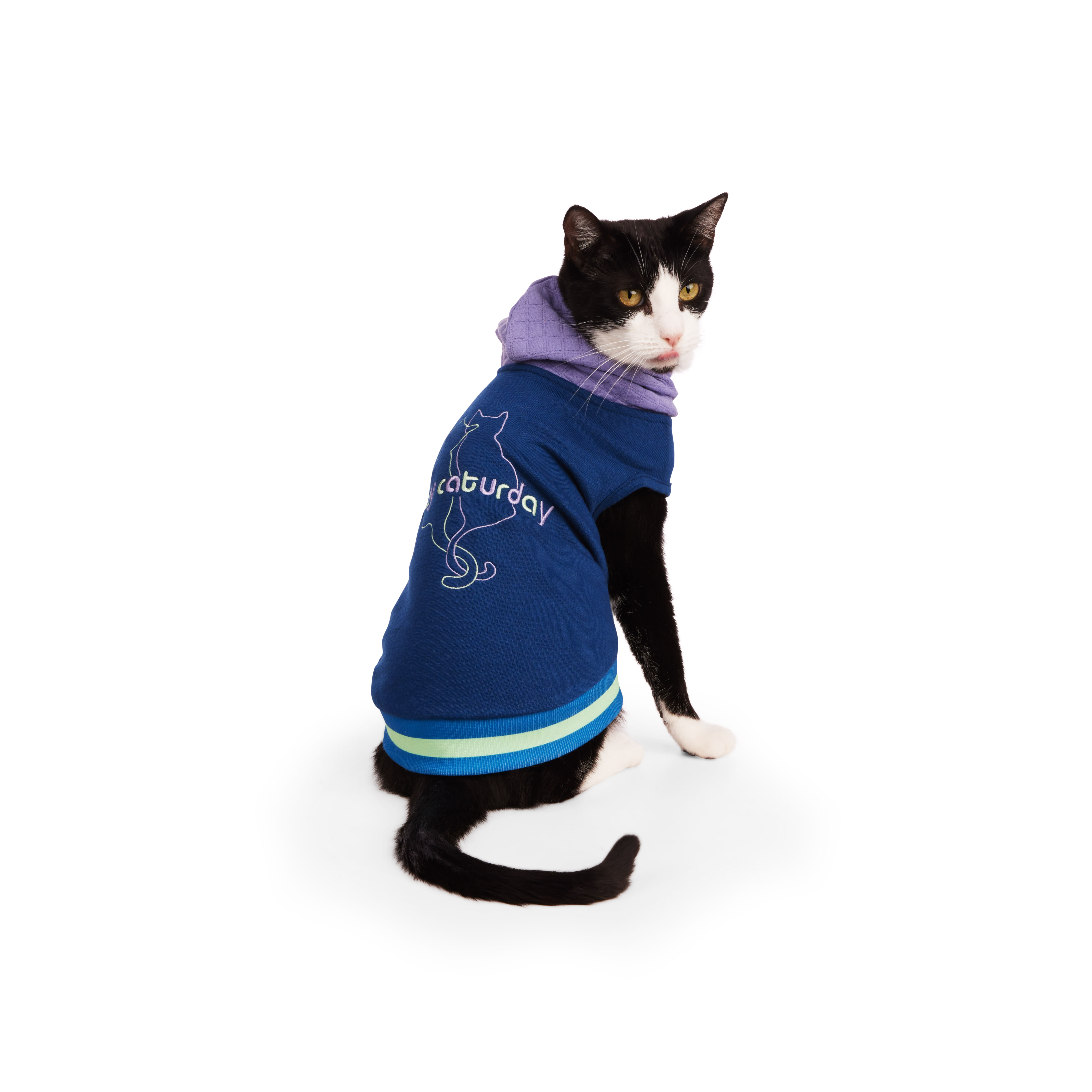 YOULY Caturday Cat Hoodie， Small/Medium