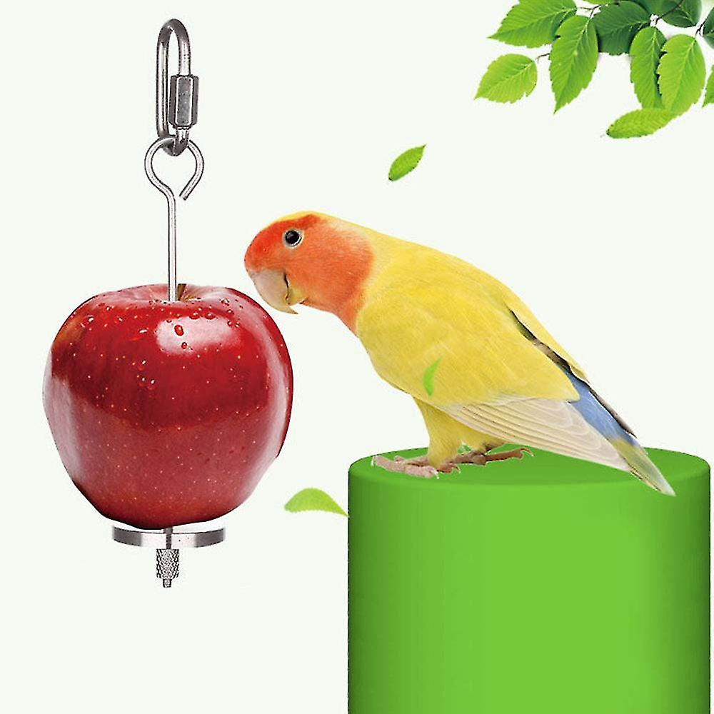 Bird Food Holder， Bird Feeders， Stainless Steel Parrot Fruit Vegetable Stick Holder， Foraging Toy， Bird Treat Skewer