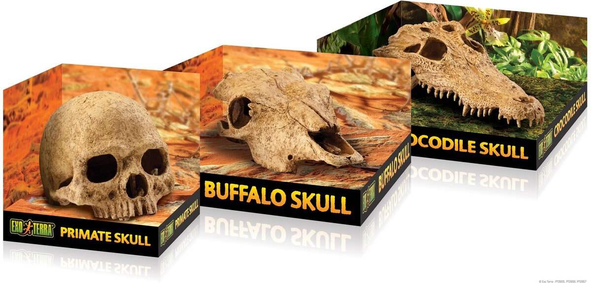 Exo Terra Buffalo Skull Terrarium Décor