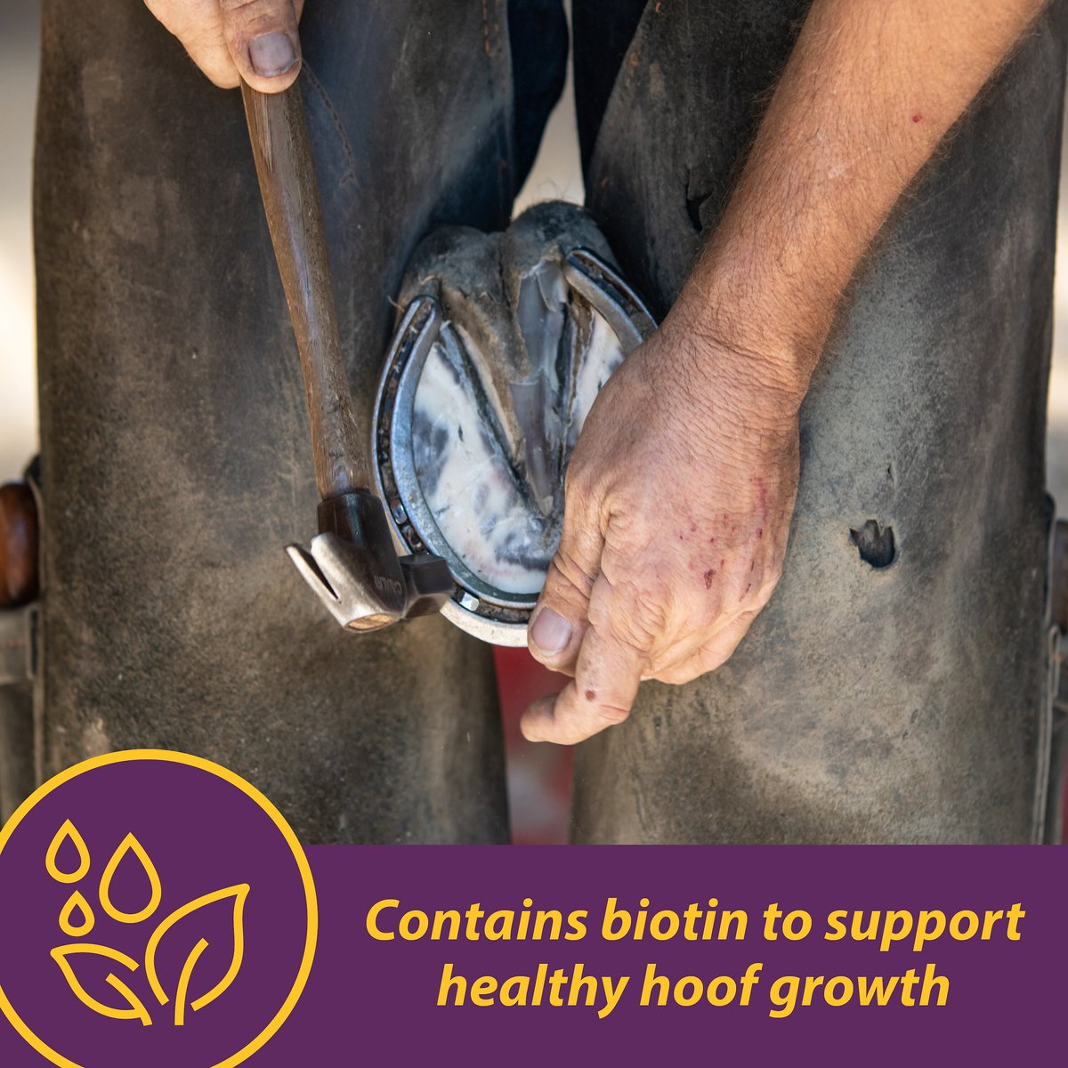 Horse Health Products Vita Biotin Crumbles， Supports Proper Hoof Health in Horses 20 -lbs.， 640 Day Supply