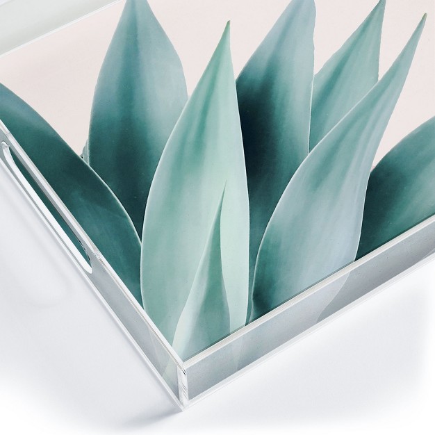 Gale Switzer Agave Flare Ii Peach Acrylic Tray Deny Designs