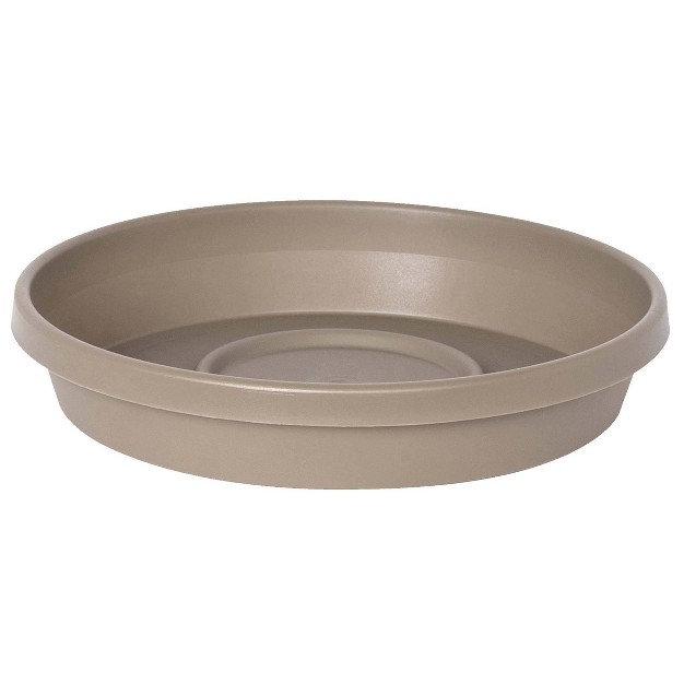 Terra Plant Saucer Tray Bloem