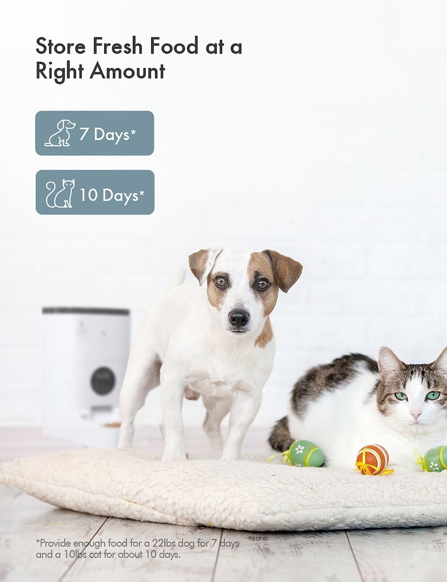 Petlibro Automatic Dog and Cat Feeder