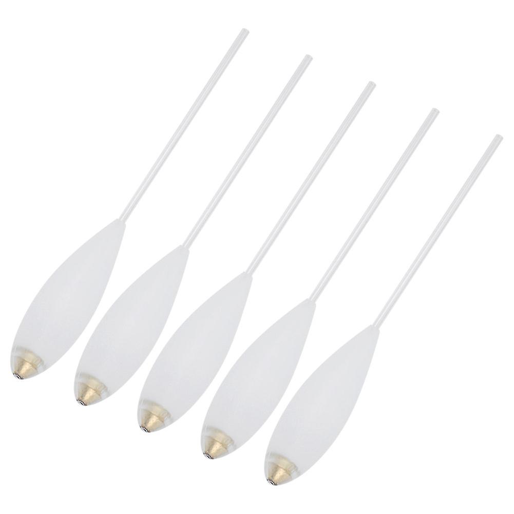 5pcs Acrylic Large Floats Slow Sinking Fishing Accessories Ecoand#8209;friendly No Odor(10g )