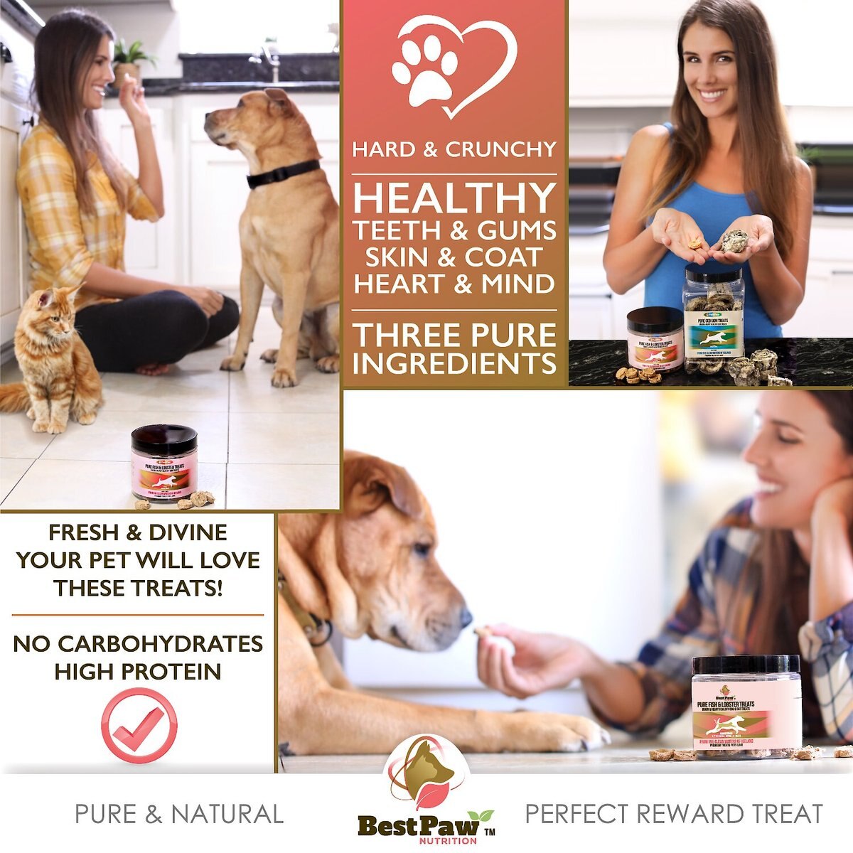 Best Paw Nutrition Wild Fish and Lobster Dog Treats