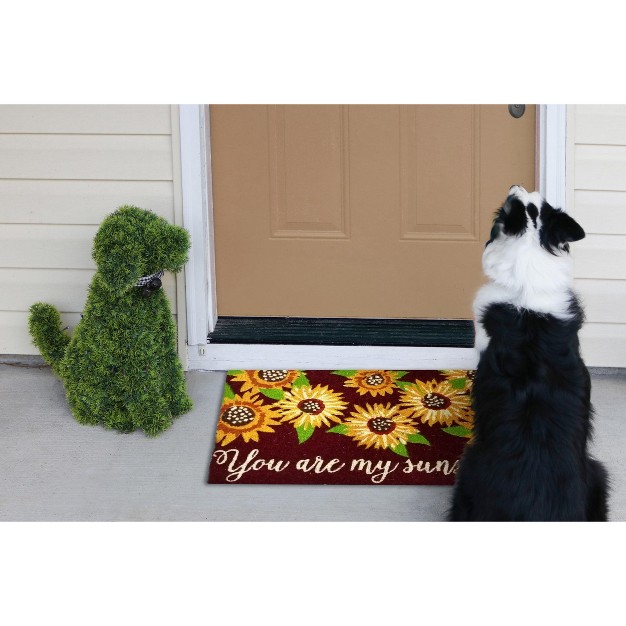 You Are My Sunshine Sentiment Yellow Sunflower Rectangle Indoor Outdoor Coir Door Welcome Mat Brown Background