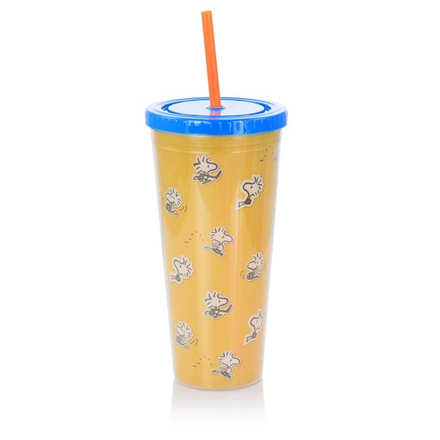 Gibson Peanuts 70th Anniversary 4 Piece Plastic 23 6oz Tumbler Set With Lid And Straw In Assorted Colors