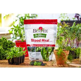 Burpee Natural  Organic 3 lbs. Blood Meal Granule Plant Food (3-Pack) DCBP3BL3