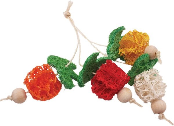 AandE Cage Company Bunch of Fruits Loofah Small Pet Toy