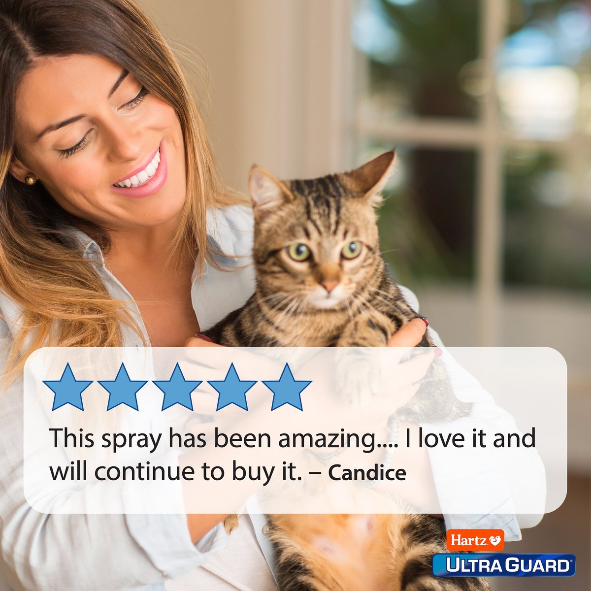 Hartz UltraGuard Topical Flea and Tick Spray for Cats