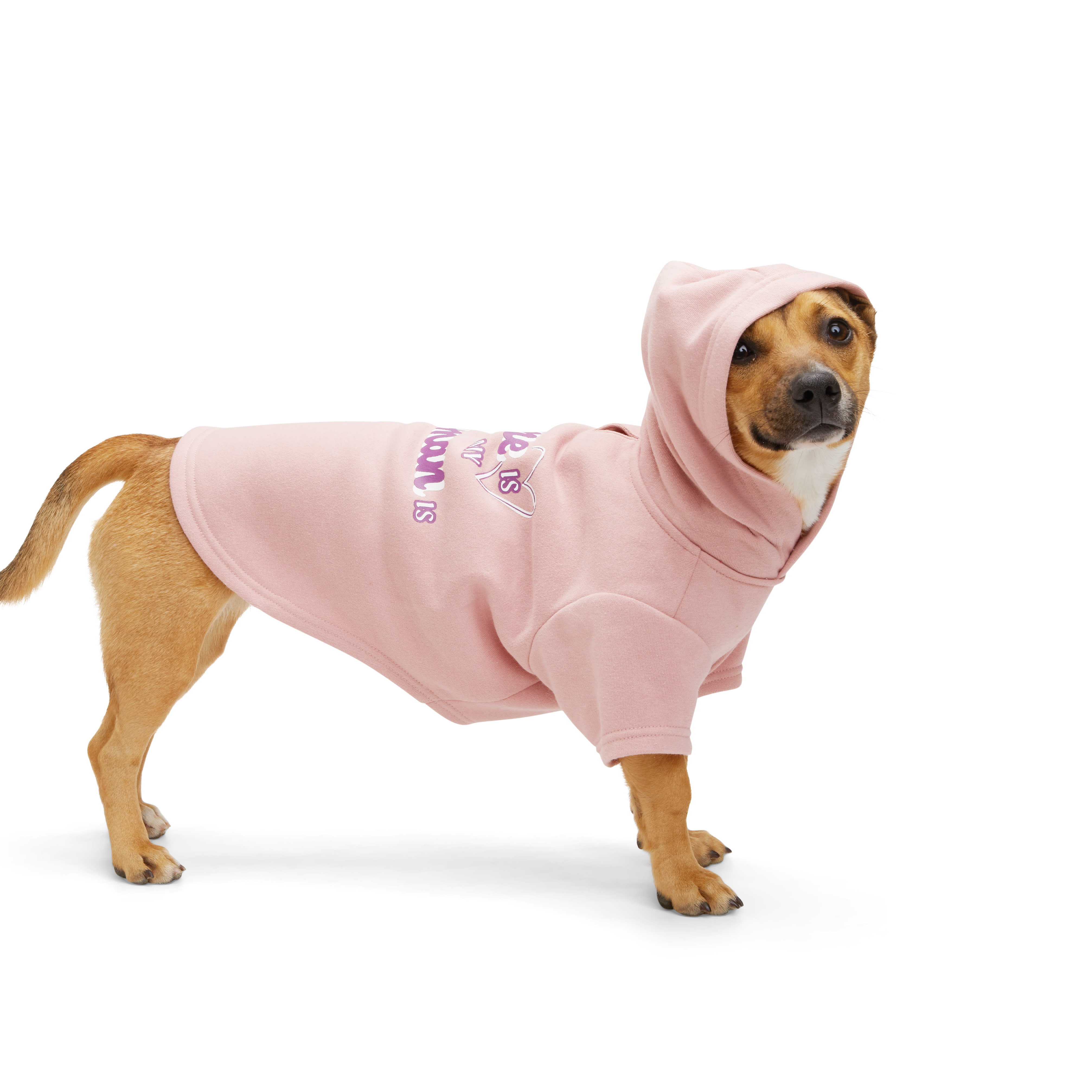 YOULY Home Dog Hoodie， XX-Small