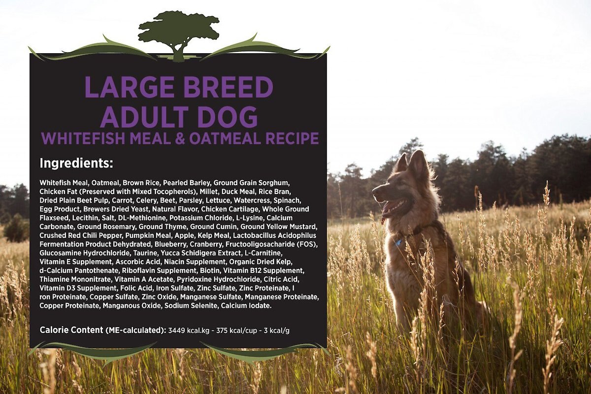 Blackwood Whitefish Meal and Oatmeal Recipe Large Breed Adult Dry Dog Food