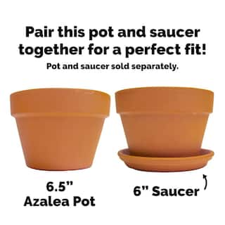 Pennington 6.5 in. Small Terra Cotta Clay Azalea Pot 100043025