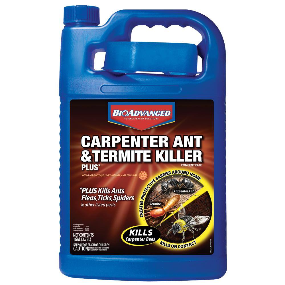 BIOADVANCED 1 Gal. Concentrate Carpenter Ant and Termite Killer Plus 700315