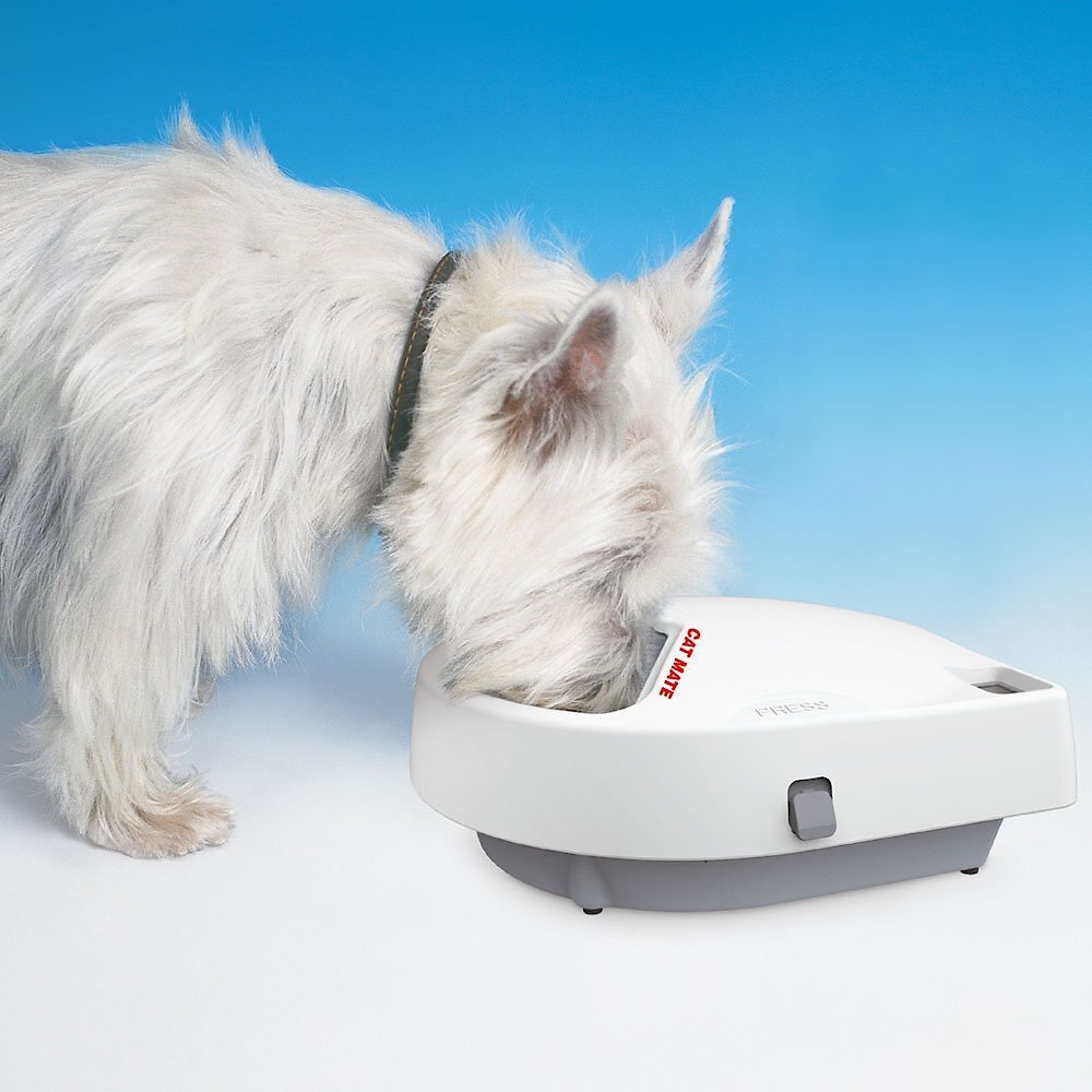 Cat Mate C300 Automatic Dog and Cat Feeder， 3-cup