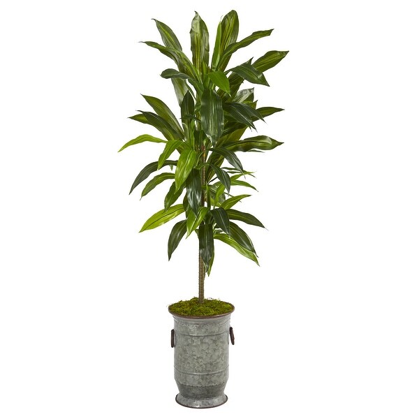 4' Dracaena Artificial Plant in Vintage Metal Planter (Real Touch)