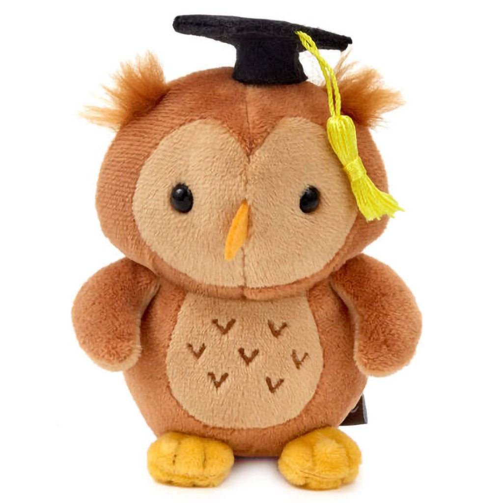 Hallmark  Wise Owl Plush Graduation Gift Card Holder, 4.75