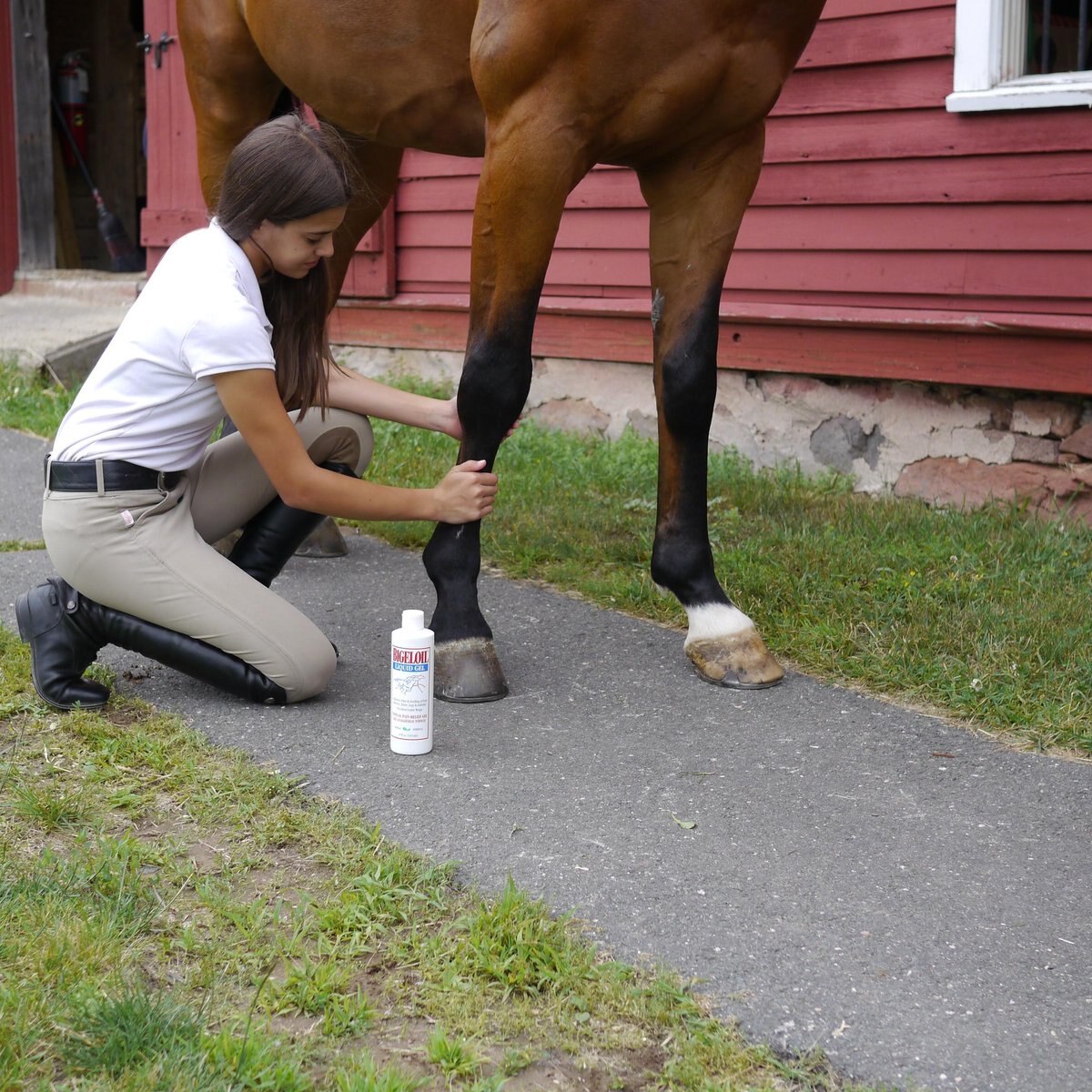 Absorbine Bigeloil Sore Muscle and Joint Pain Relief Horse Liniment Gel