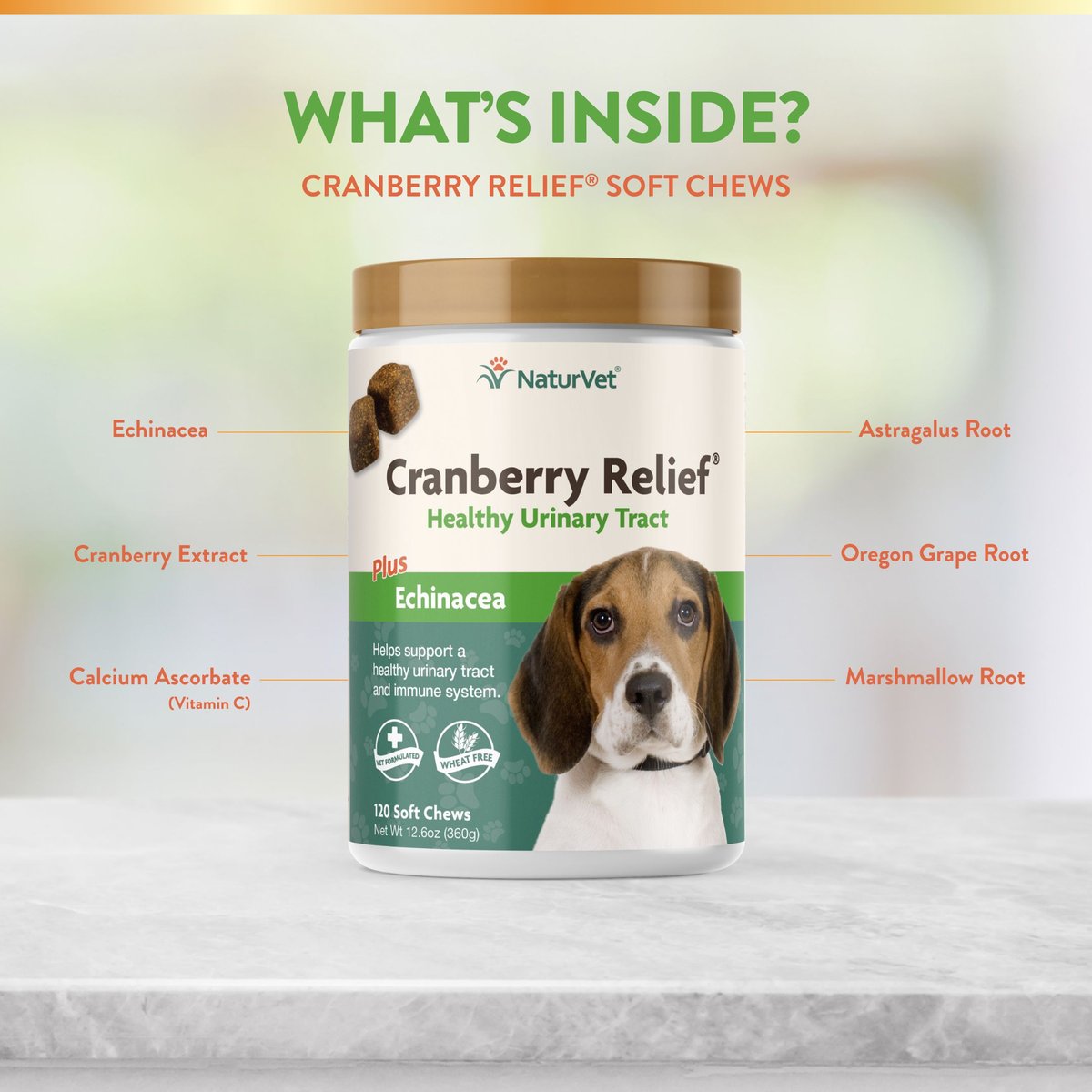 NaturVet Cranberry Relief Plus Echinacea Soft Chews Urinary Supplement for Dogs